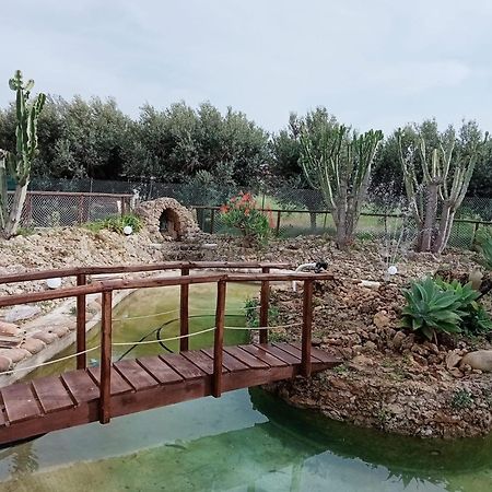 Villa Michelangelo Castellammare del Golfo Bagian luar foto